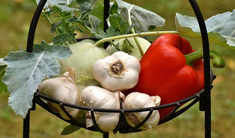 Assortment of fresh vegetables